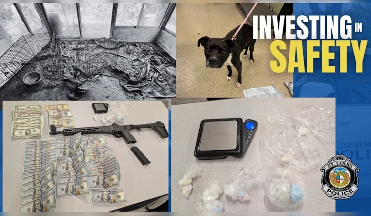 Kingsway West Raid Nets Gun, Drugs And Dogs With No Food Or Water