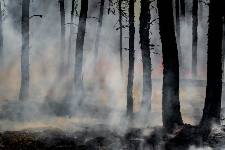 Small Wildfire Ignites In San Diego County, Crews Active In North County