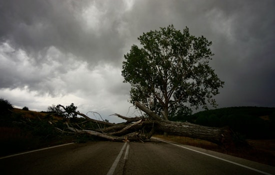 Soggy Holiday Chaos As Toppling Trees Crush Cars From Brooklyn To Jersey