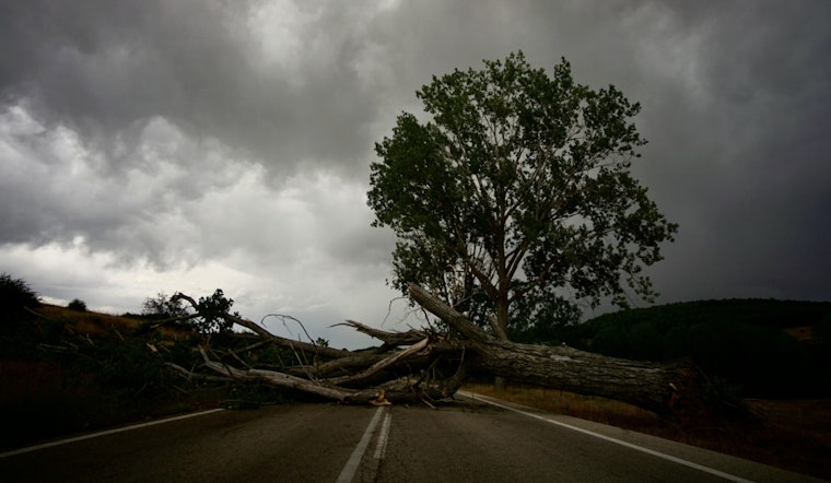 Soggy Holiday Chaos As Toppling Trees Crush Cars From Brooklyn To Jersey