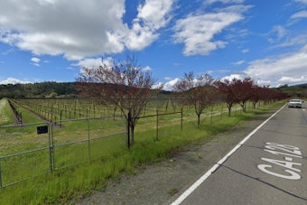 Sonoma Stunner: Ghost Donkey Ranch and Summit Estate Aim for Record Prices