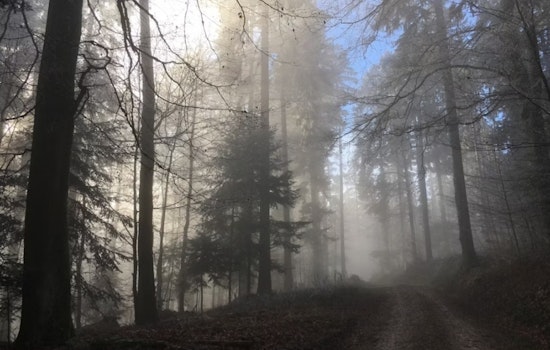 Soupy Morning Fog Sets Up Blustery, Storm-Ready Afternoon In Charlotte