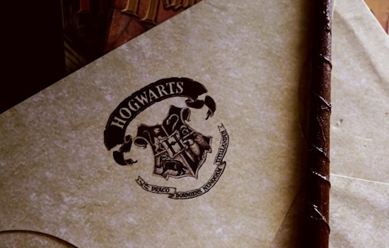 South Broadway Gets Spellbound As Harry Potter Exhibition Moves In