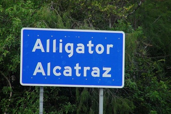 South Florida Dad Ordered To Buy One-Way Ticket After ‘Alligator Alcatraz’ Lockup