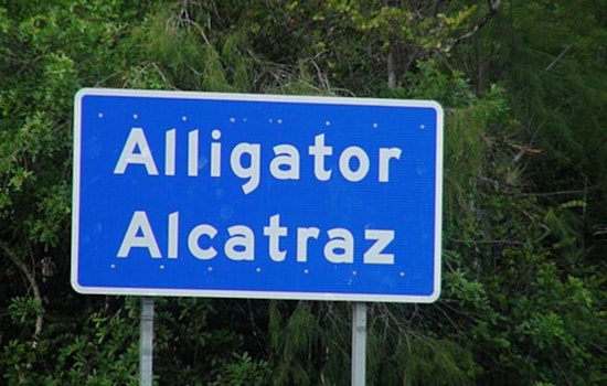 South Florida Dad Ordered To Buy One-Way Ticket After ‘Alligator Alcatraz’ Lockup