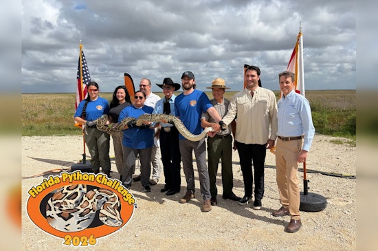South Florida Snake Showdown: Python Challenge Dangles $10K Prize In July