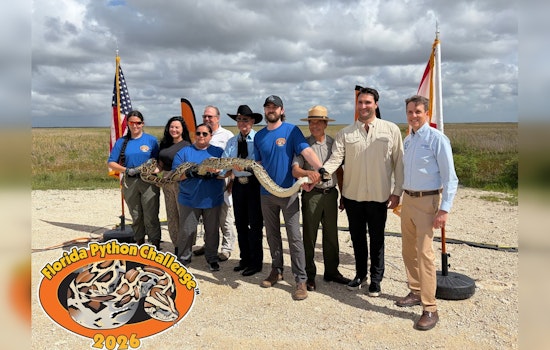 South Florida Snake Showdown: Python Challenge Dangles $10K Prize In July