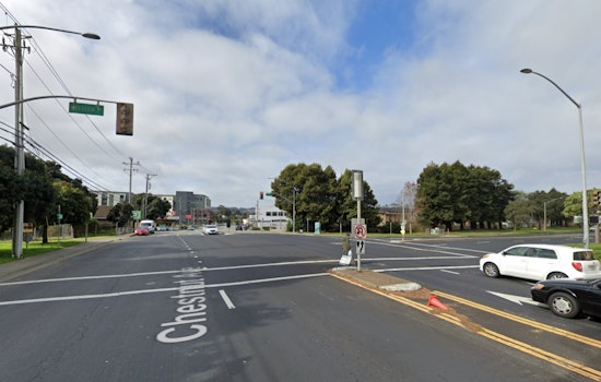 South SF Senior Killed In Chestnut And Mission Crosswalk Horror