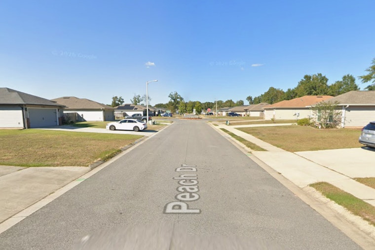 Southside ‘Cat House’ Stuns Neighbors As Officers Find Up To 80 Felines In One Jacksonville Home