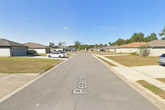 Southside ‘Cat House’ Stuns Neighbors As Officers Find Up To 80 Felines In One Jacksonville Home