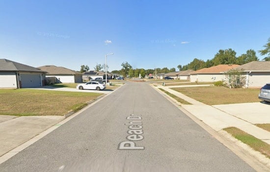 Southside ‘Cat House’ Stuns Neighbors As Officers Find Up To 80 Felines In One Jacksonville Home