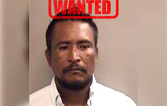Spring Motel Horror As Arlington Coworker Vanishes After Stabbing