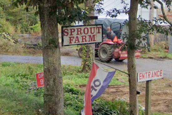 Sprouts Plans 30–40 Stores Across New England