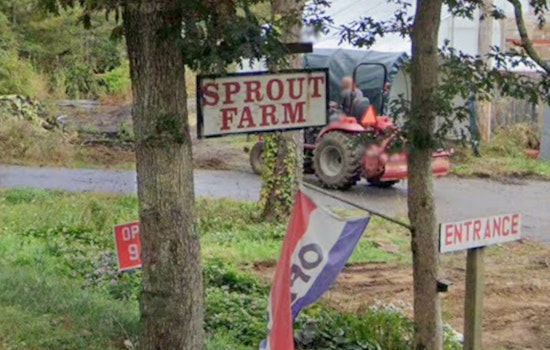 Sprouts Plans 30–40 Stores Across New England