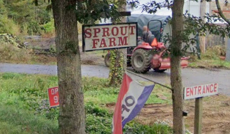 Sprouts Plans 30–40 Stores Across New England