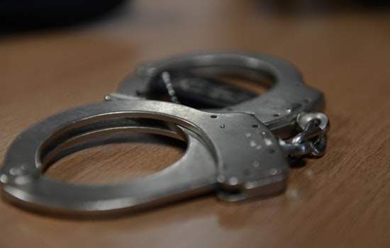 St. Louis Cops Chase 14-Year-Old, Snag Gun and Louis Vuitton Bag