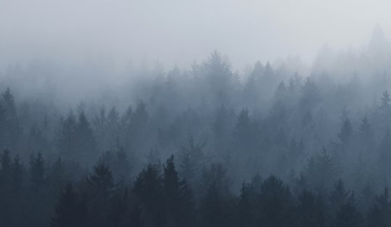 St. Louis Vanishes in Dawn Fog, Then Fires Up to Sunny 80s