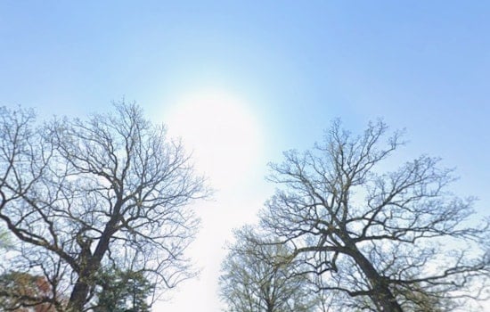 St. Louis Wakes Up Chilly, Braces for 90-Degree Whiplash by Weekend
