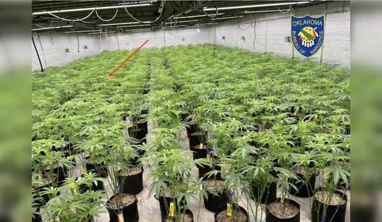 State Agents Rip Up 16,450 Pot Plants in Tulsa-Area Raids