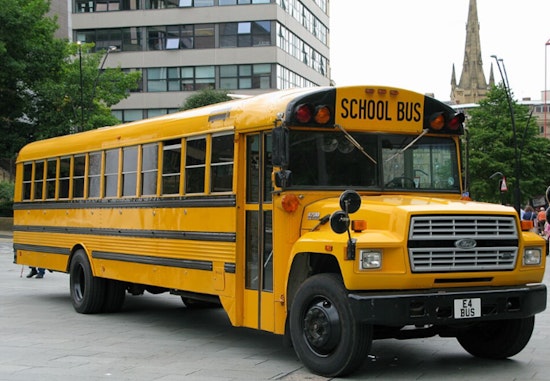 Stearns County School Bus Crashes Into Tree, Students Hurt