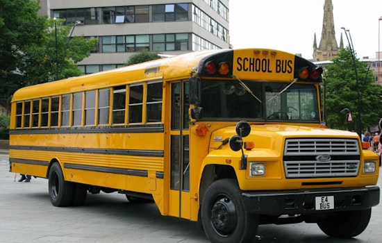 Stearns County School Bus Crashes Into Tree, Students Hurt