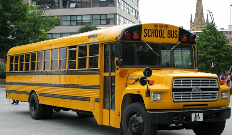 Stearns County School Bus Crashes Into Tree, Students Hurt
