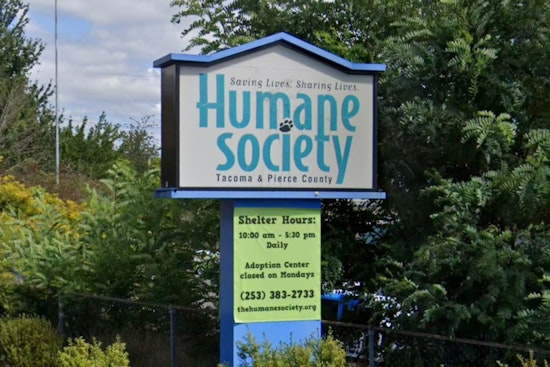 Tacoma Marathon Turns Tragic As Family Dog Dies, Humane Society Apologizes
