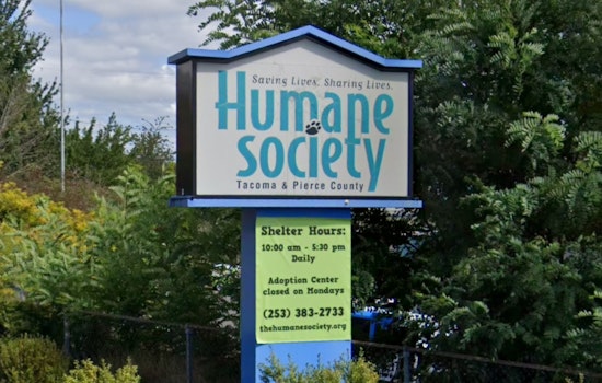 Tacoma Marathon Turns Tragic As Family Dog Dies, Humane Society Apologizes
