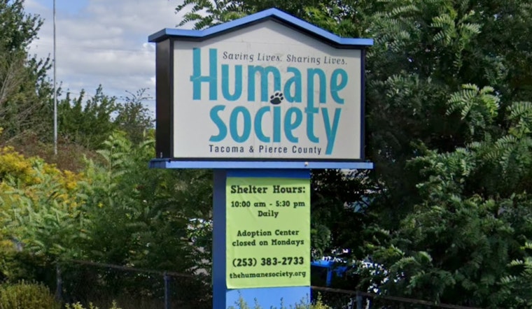 Tacoma Marathon Turns Tragic As Family Dog Dies, Humane Society Apologizes