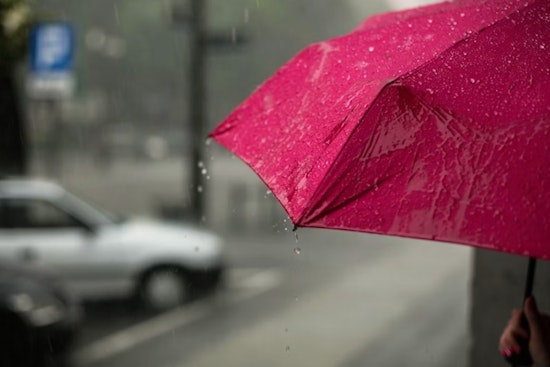 Tampa Turns Into Steam Room as Holiday Storms Crash Afternoon Plans