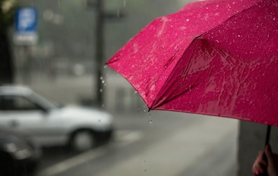 Tampa Turns Into Steam Room as Holiday Storms Crash Afternoon Plans