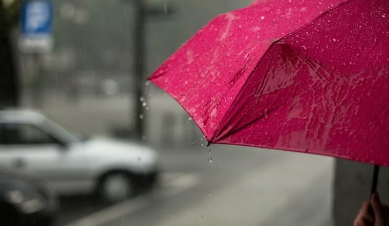 Tampa Turns Into Steam Room as Holiday Storms Crash Afternoon Plans