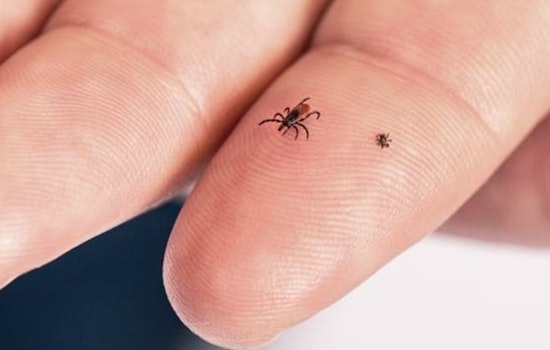 Tar Heel Ticks Are Turning Steak Night Into An E.R. Visit