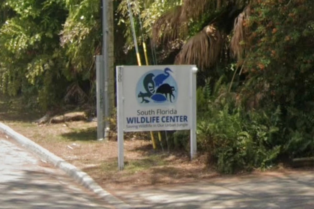 Fort Lauderdale Wildlife Center Ceiling Collapse Prompts Donations