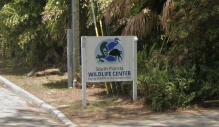 Termites Trash Fort Lauderdale Wildlife Clinic, Donors Rush In
