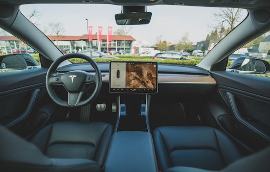 Tesla Drivers Left Backing Up Blind as 219,000 Cars Hit With Recall