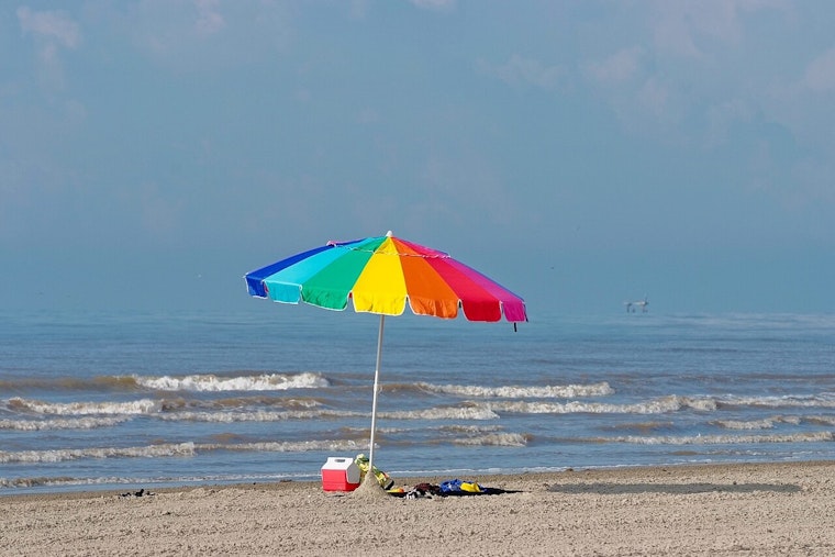 Texas Beaches Overrun By Bizarre ‘Sea Piggies’ In Gulf Coast Toy Invasion