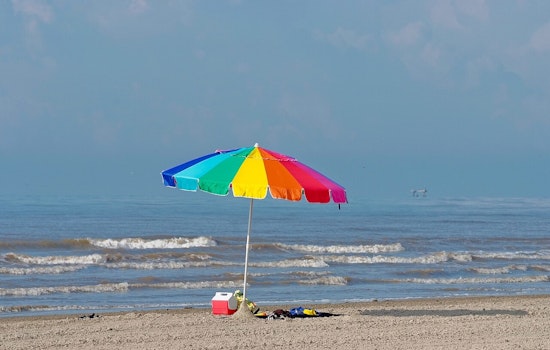 Texas Beaches Overrun By Bizarre ‘Sea Piggies’ In Gulf Coast Toy Invasion