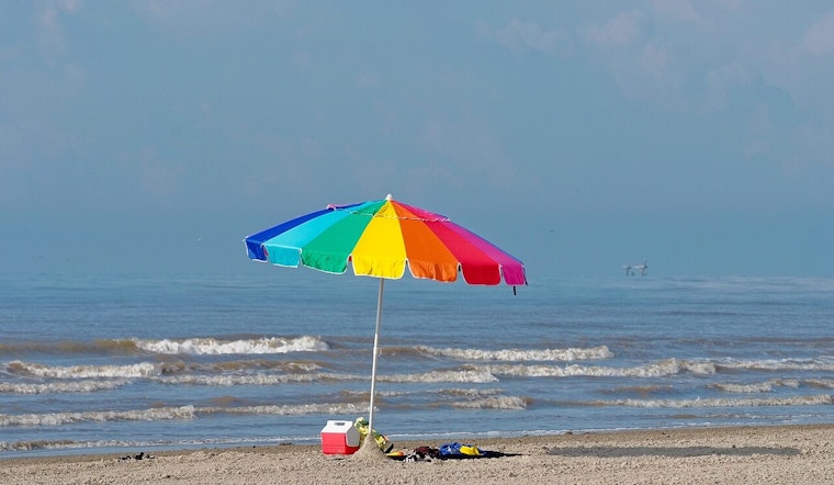 Texas Beaches Overrun By Bizarre ‘Sea Piggies’ In Gulf Coast Toy Invasion