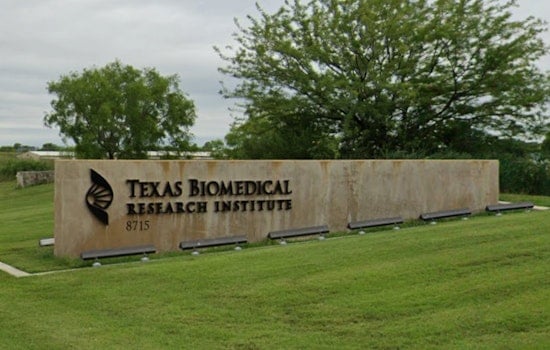 Texas Biomed’s $83 Million Super Lab Poised To Put San Antonio On Pathogen Map