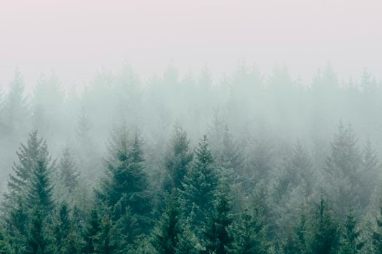 Thick Fog Chokes Atlanta Commute Before Sun Breaks Through