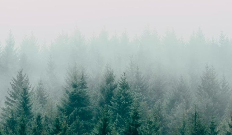 Thick Fog Chokes Atlanta Commute Before Sun Breaks Through