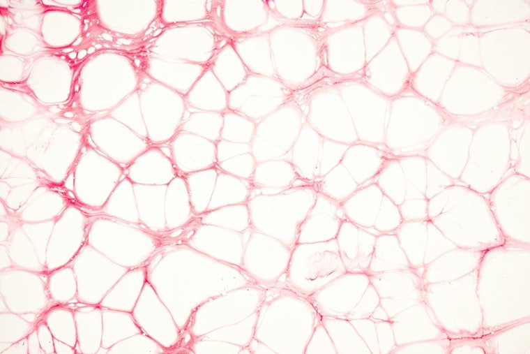 Tiny Ohio State ‘Nanochip’ Zaps Shredded Nerves Back To Life In Mice