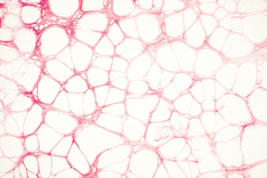 Tiny Ohio State ‘Nanochip’ Zaps Shredded Nerves Back To Life In Mice