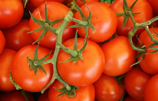 Tomato Shock Rocks Phoenix As Restaurants Get Crushed By Price Spike