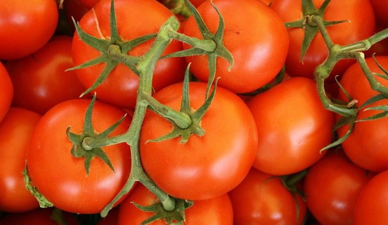 Tomato Shock Rocks Phoenix As Restaurants Get Crushed By Price Spike