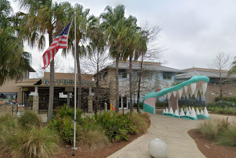 Tourists Gasp as Giant Gator Gobbles Smaller Rival at Orlando's Gatorland