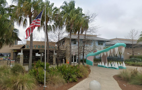 Tourists Gasp as Giant Gator Gobbles Smaller Rival at Orlando's Gatorland