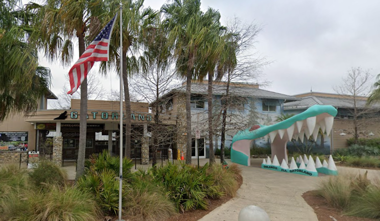 Tourists Gasp as Giant Gator Gobbles Smaller Rival at Orlando's Gatorland