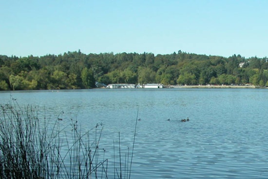 Toxic Gunk Turns Seattle's Green Lake Into No-Go Zone For Swimmers And Dogs